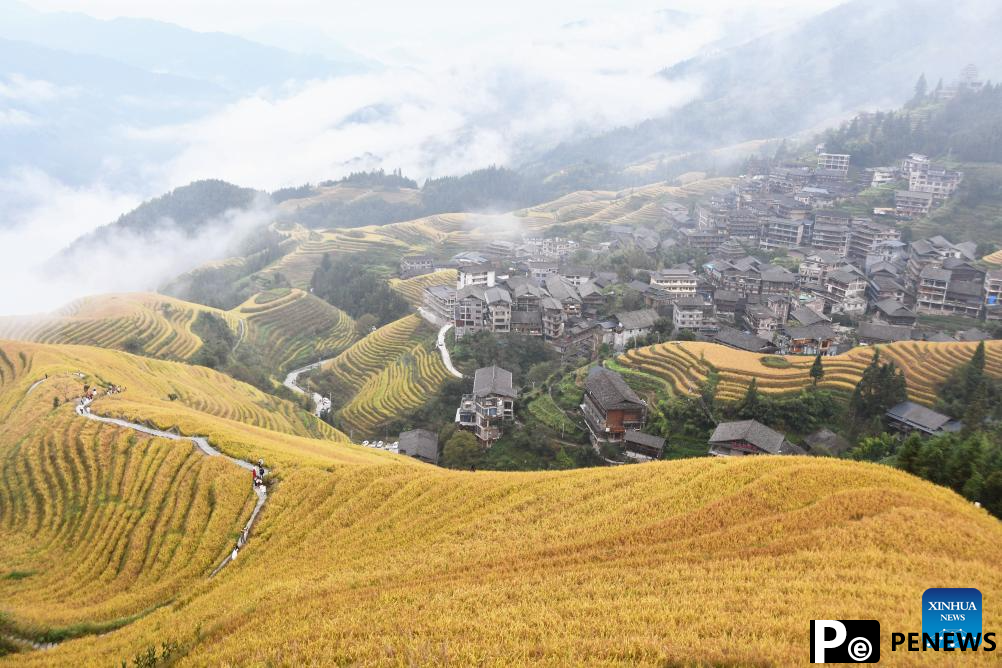 Autumn scenery across China