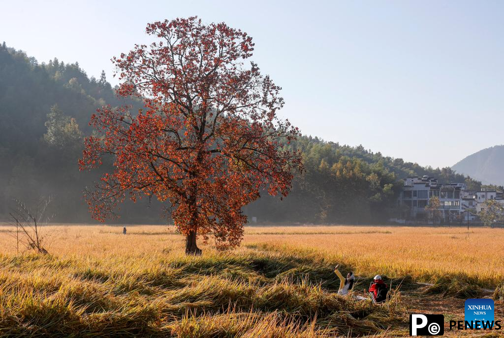 Autumn scenery across China