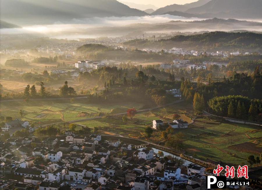 Village shrouded by mist in Autumn