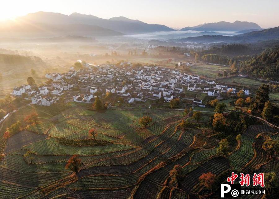 Village shrouded by mist in Autumn