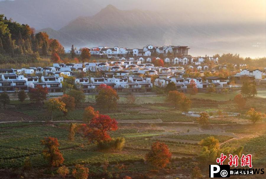 Village shrouded by mist in Autumn