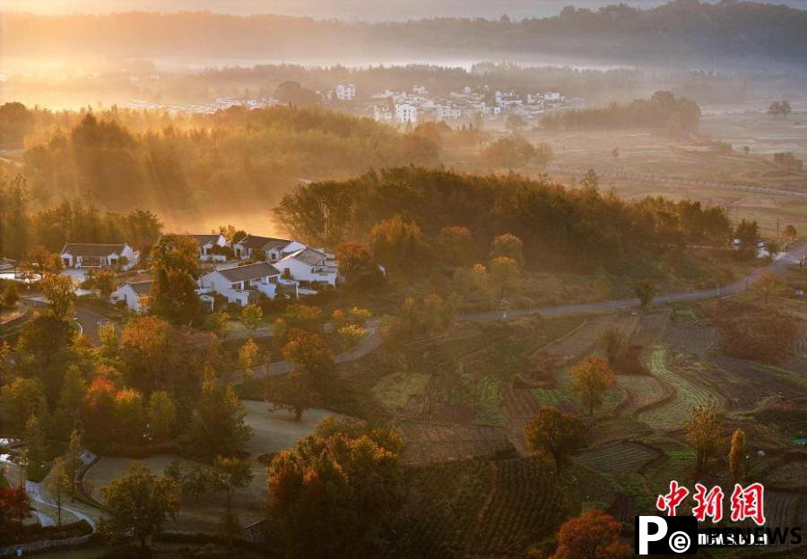 Village shrouded by mist in Autumn