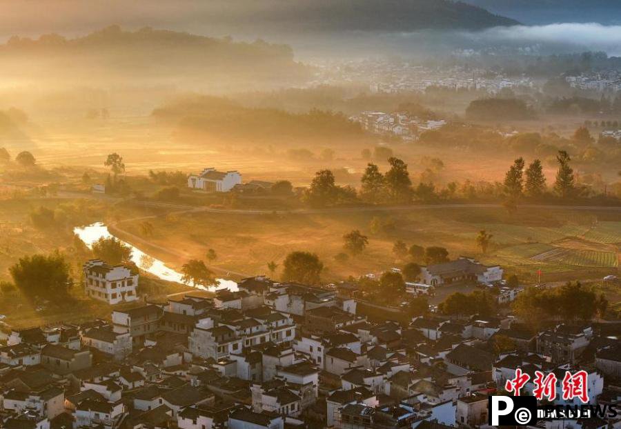 Village shrouded by mist in Autumn