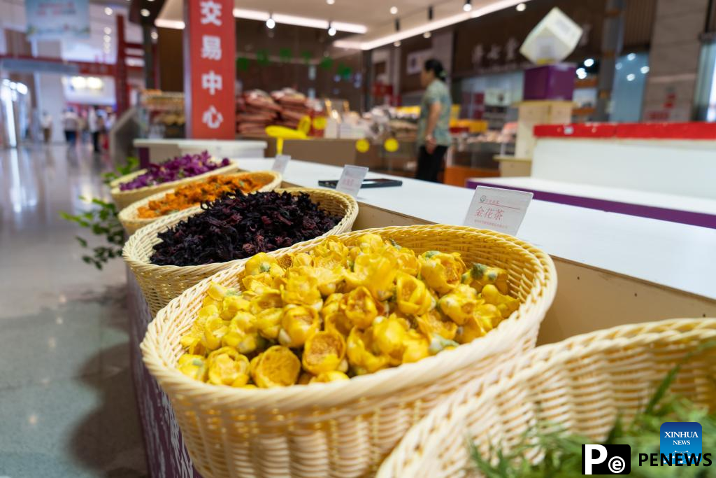 Herbal tea brews fortunes in east Chinese city