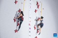 Highlights of IFSC Asian Qualifier Jakarta 2023