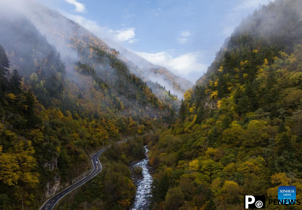 Autumn scenery in Dangling village, SW China
