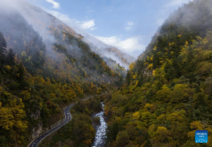 Autumn scenery in Dangling village, SW China's Sichuan