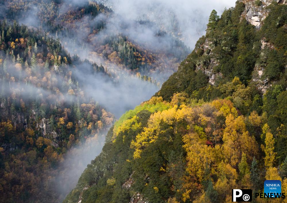 Autumn scenery in Dangling village, SW China