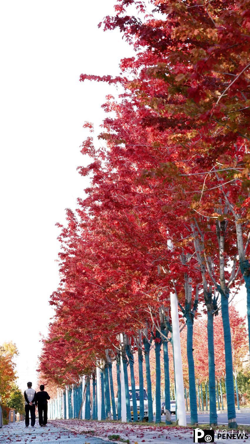 Changchun in NE China