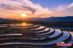 Autumn turns terraced fields into color palette in Hubei