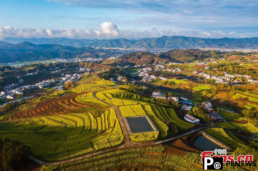 Autumn turns terraced fields into color palette in Hubei