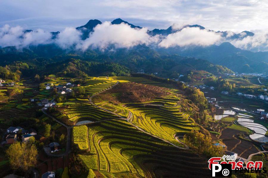 Autumn turns terraced fields into color palette in Hubei