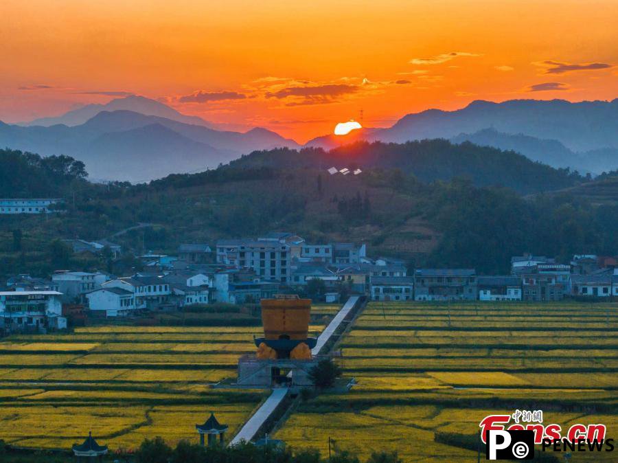 Autumn turns terraced fields into color palette in Hubei