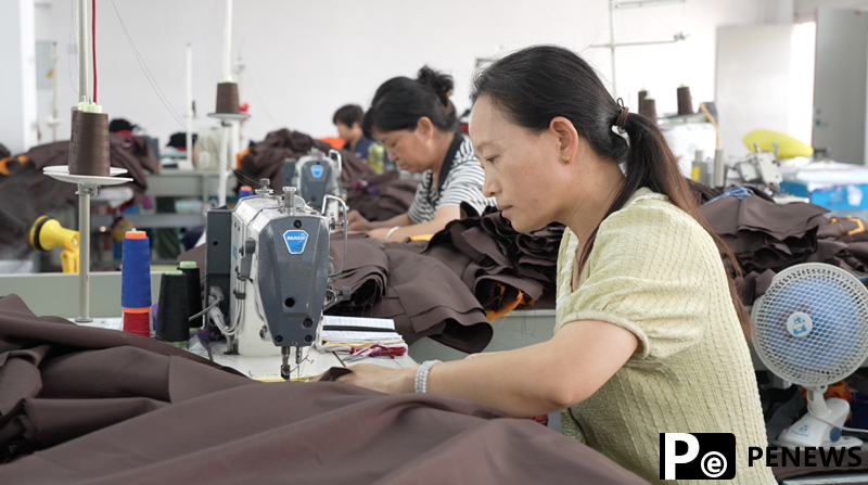 Increasing power capacity highlights rural development in village in C China