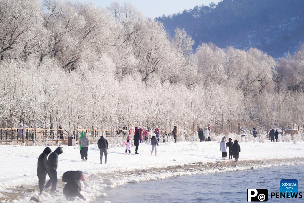 People enjoy rime scenery along Songhua River in NE China