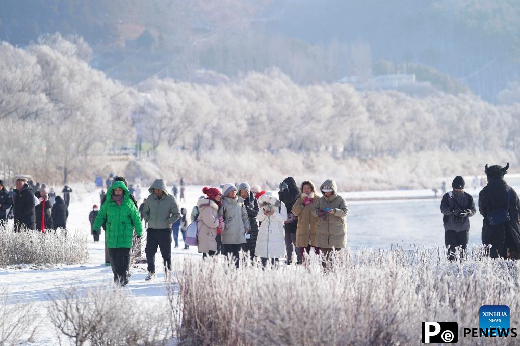 People enjoy rime scenery along Songhua River in NE China