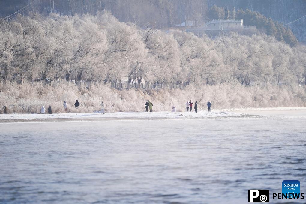People enjoy rime scenery along Songhua River in NE China