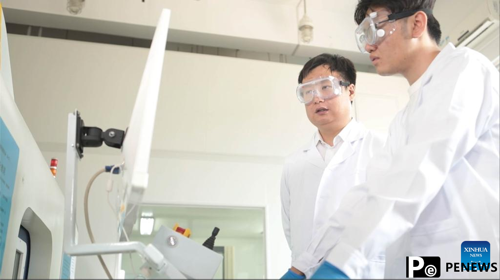 Chinese scientists develop high-performance hydrogen fuel cells