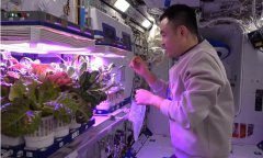 Shenzhou-17 crew shows advancement of China space station in New Year vlog