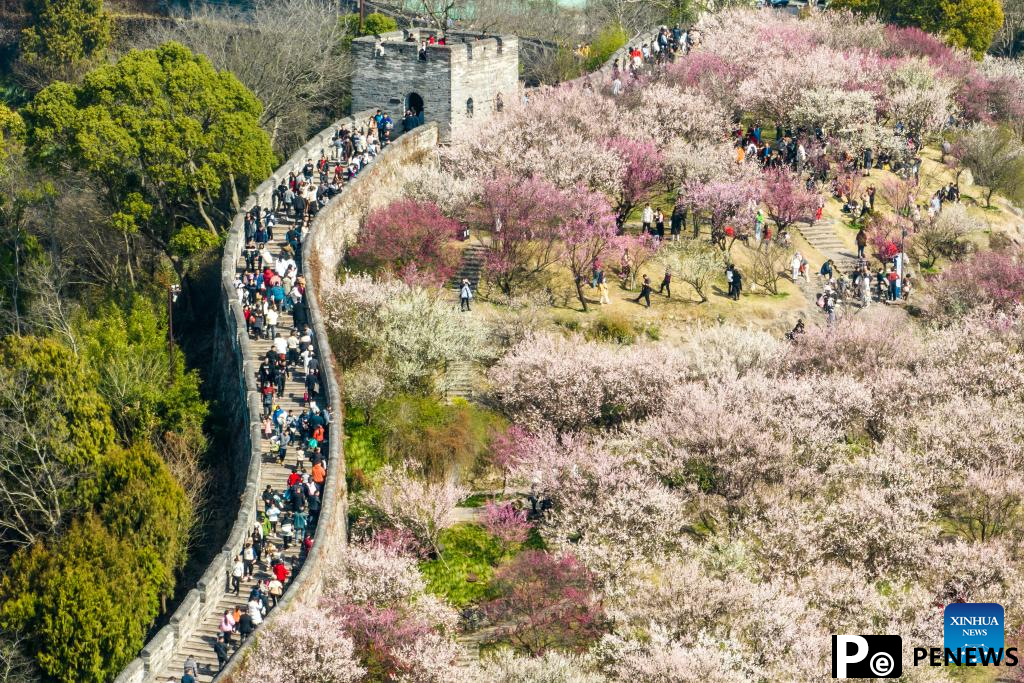 People celebrate Spring Festival across China