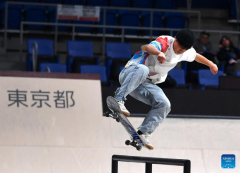 Highlights of Street Skateboarding World Championships