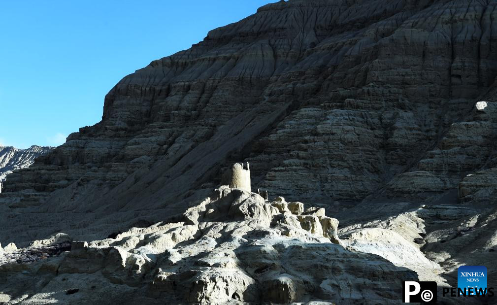 Landscape of earth forest in Zanda County, China