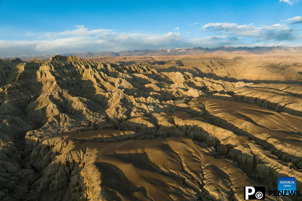 Landscape of earth forest in Zanda County, China