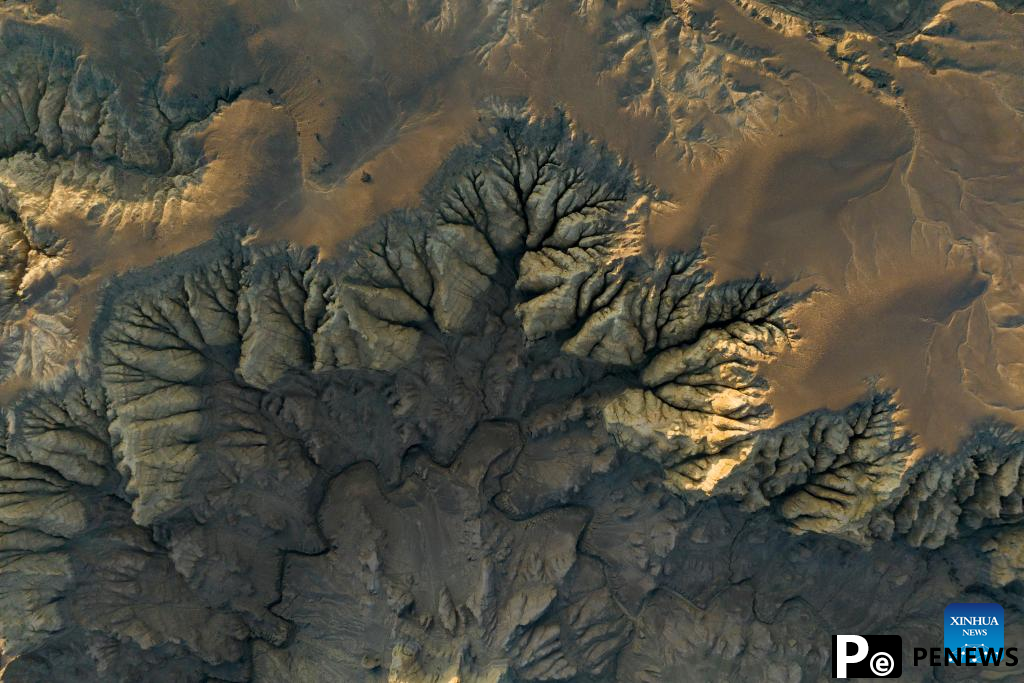 Landscape of earth forest in Zanda County, China