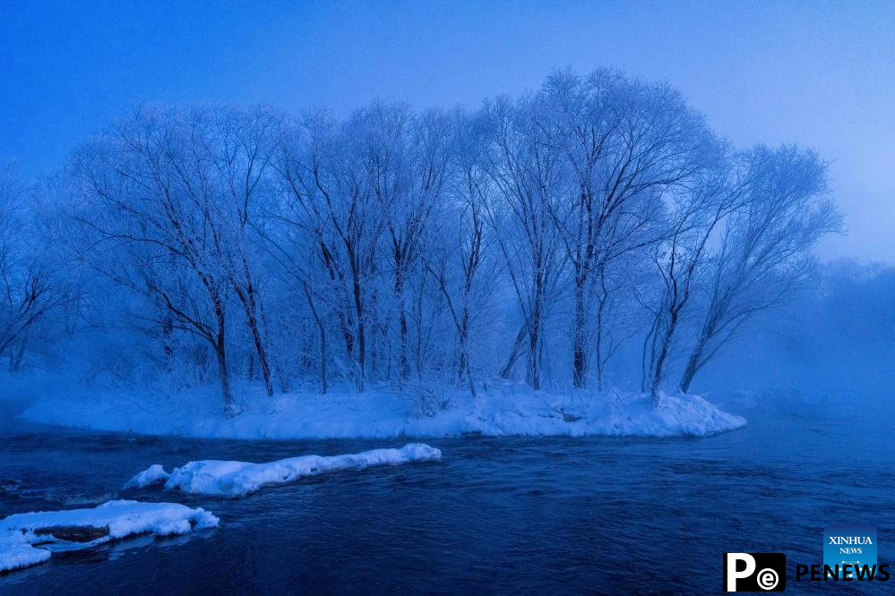 Rime scenery in Heilongjiang, NE China