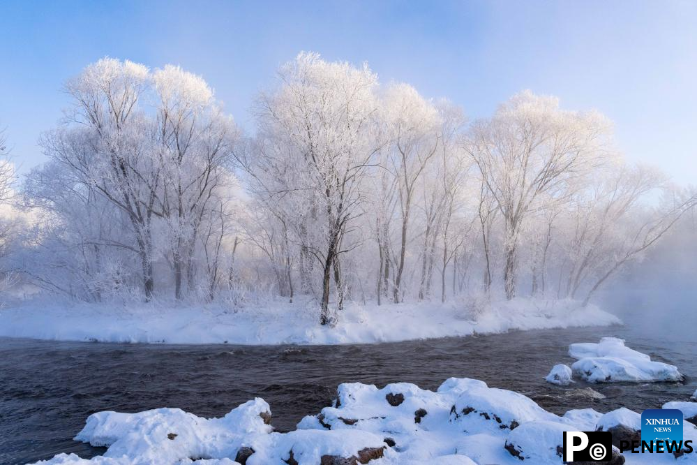 Rime scenery in Heilongjiang, NE China