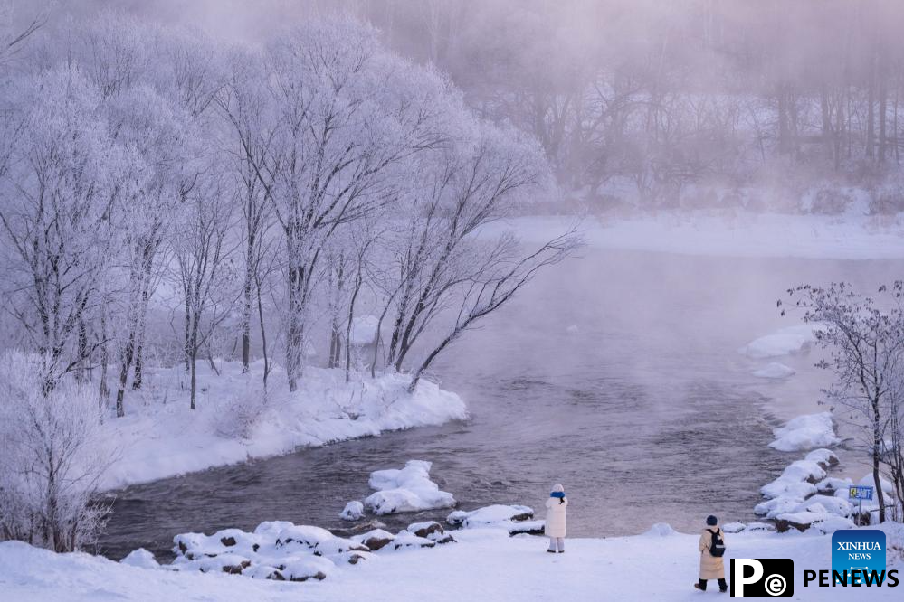 Rime scenery in Heilongjiang, NE China