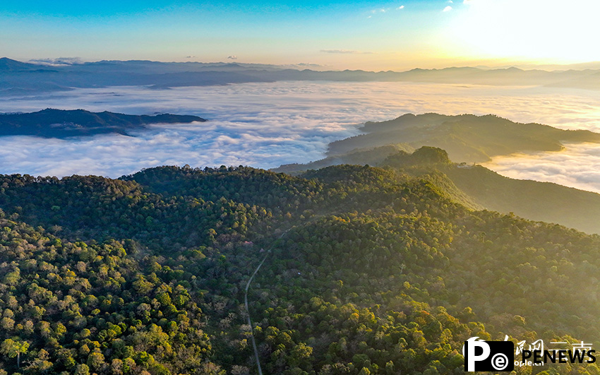 In pics: Spectacular sea of clouds in Jingmai Mountain, SW China