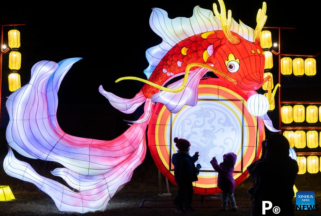 Lantern show held to celebrate Chinese Lunar New Year in Markham, Canada