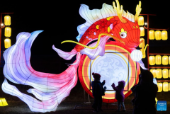 Lantern show held to celebrate Chinese Lunar New Year in Markham, Canada