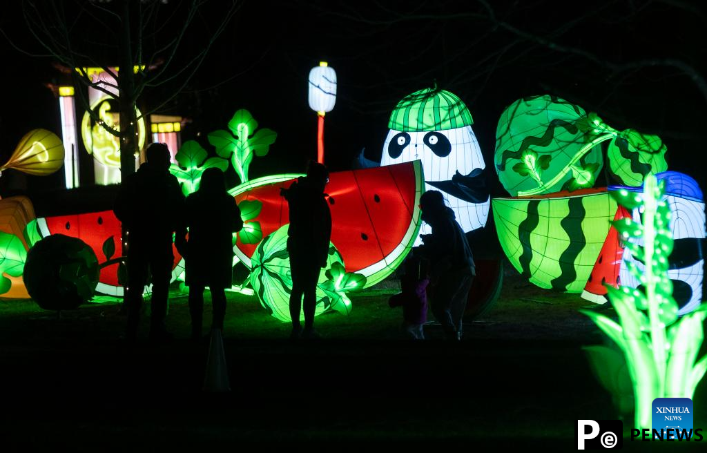 Lantern show held to celebrate Chinese Lunar New Year in Markham, Canada