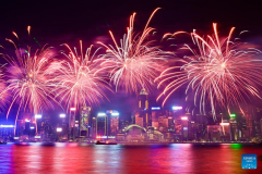 Hong Kong holds fireworks display to celebrate Chinese Lunar New Year