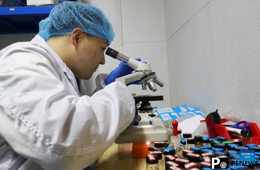 Researchers develop optical disk memory with petabit capacity in China