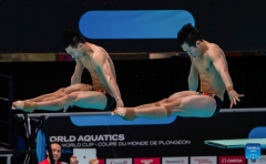 In pics: World Aquatics Diving World Cup 2024