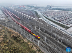 Chongqing witnesses growth in finished car imports via China-Europe freight train service