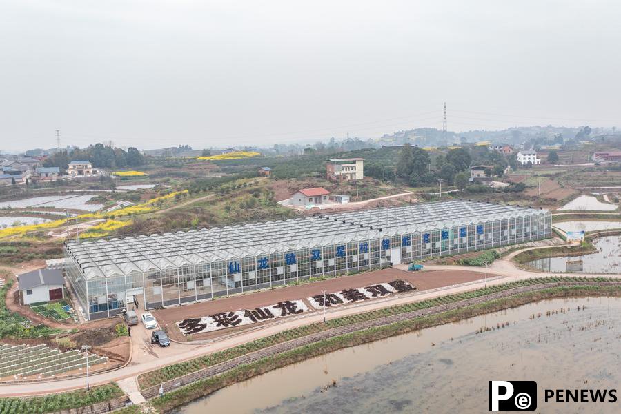 Intelligent seedling breeding base enhances spring farming efficiency in Chongqing