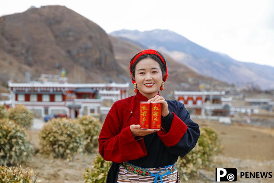 Cash crop plantations boost rural development in SW China