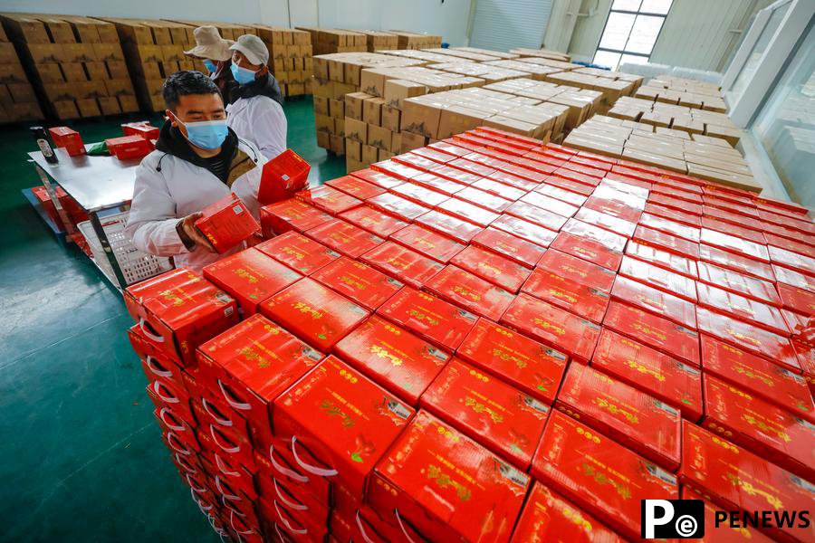 Cash crop plantations boost rural development in SW China