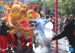 Chinese Lunar New Year celebrated across world