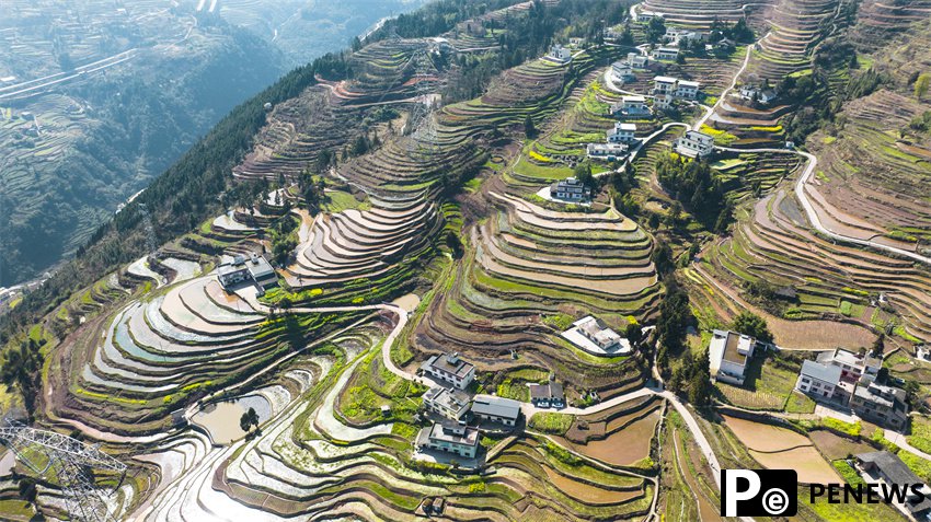 Farmers create vibrant scenes of spring farming in SW China