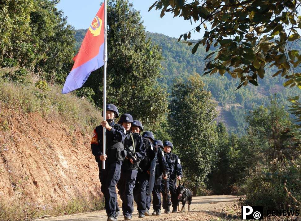 Behind the scenes of police dog training in SW China