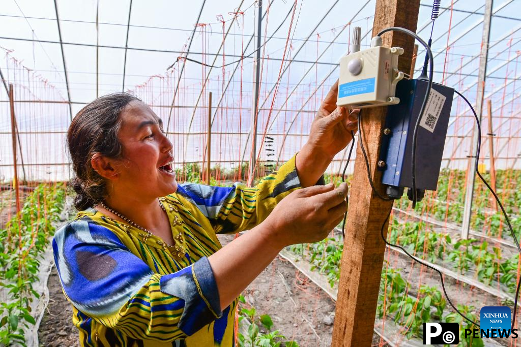 Modern agricultural technologies applied at vegetable base in Aksu, Xinjiang