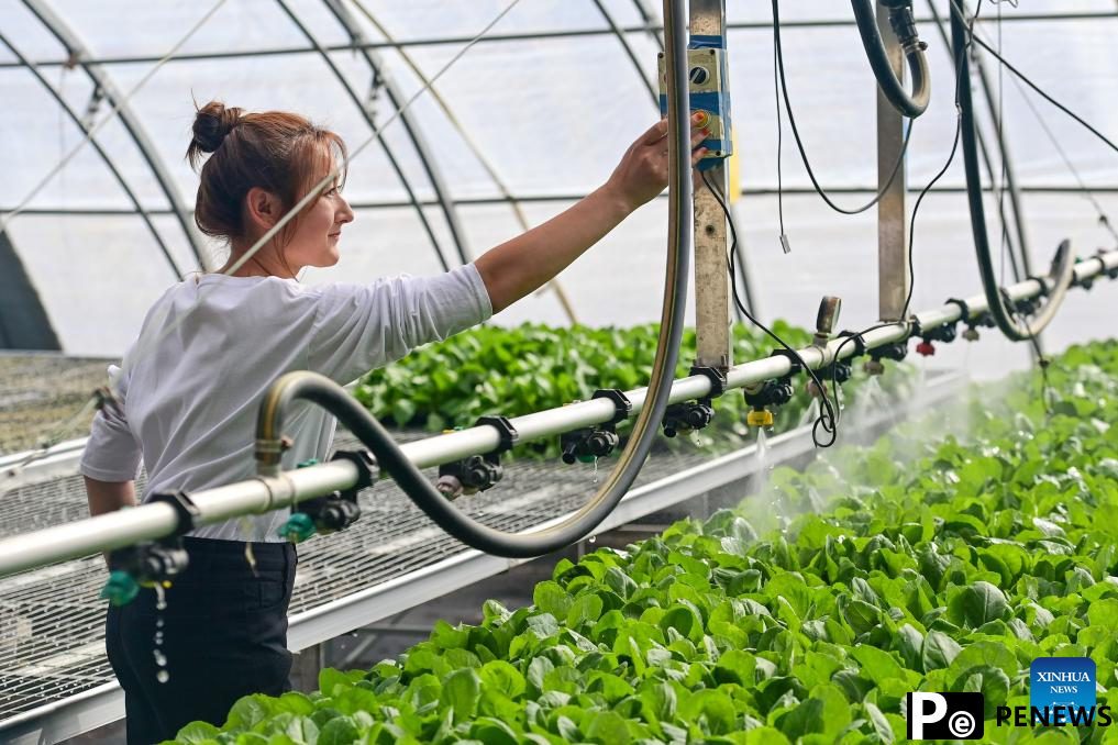 Modern agricultural technologies applied at vegetable base in Aksu, Xinjiang