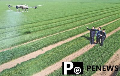 Technology facilitates efficient spring farming in C China