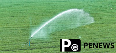 Technology facilitates efficient spring farming in C China