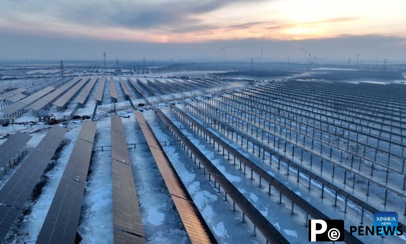 Chinese clean energy firms continue overseas expansion amid challenges, opportunities